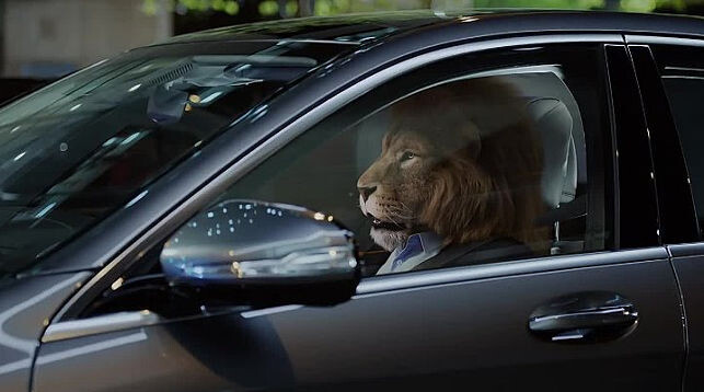 Картинка из интернета