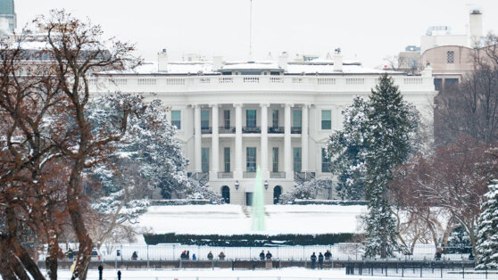    Трамп уверен в сделке по завершению украинского конфликта уже на этой неделе Егор Гордеев