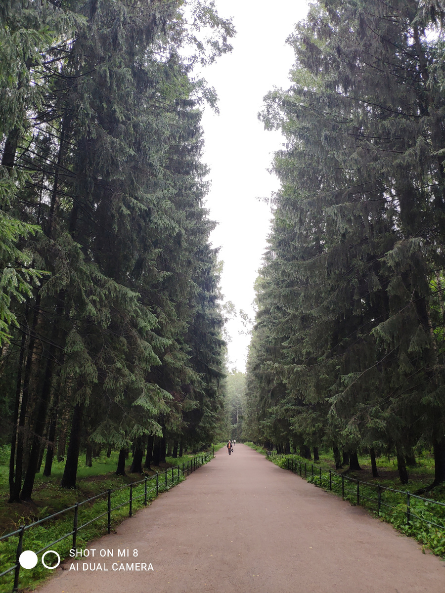 одна из аллей