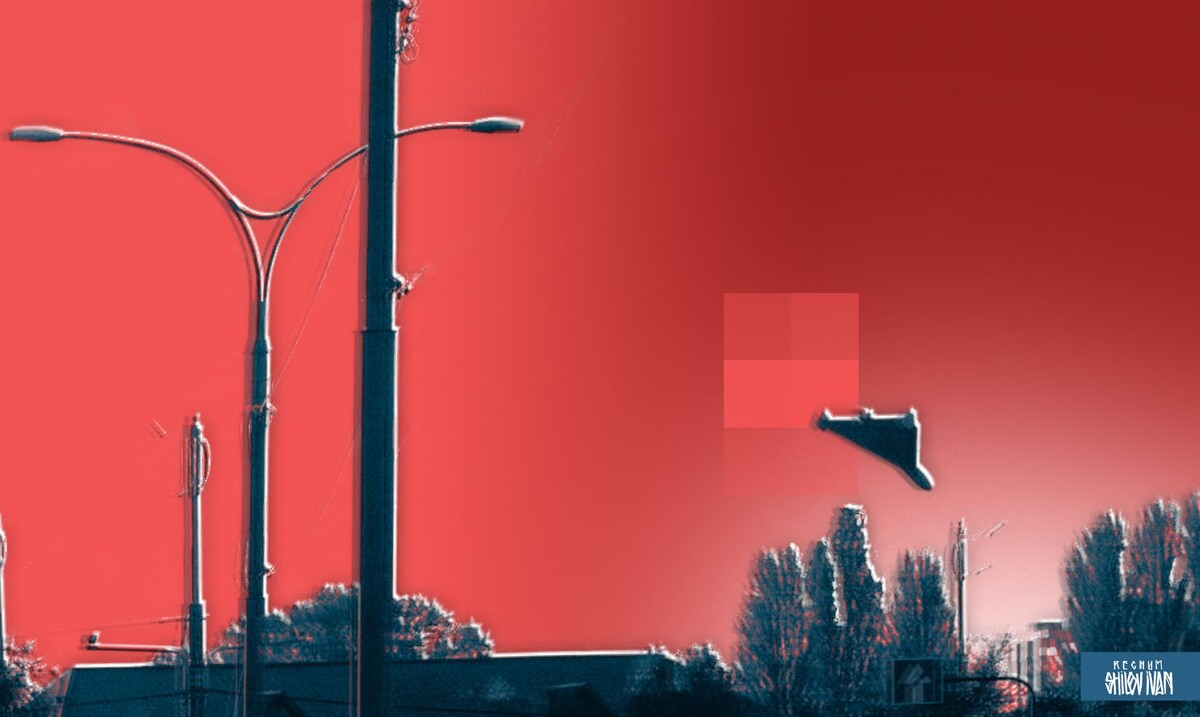    БПЛА «Герань» / Источник: Иван Шилов (с) ИА REGNUM
