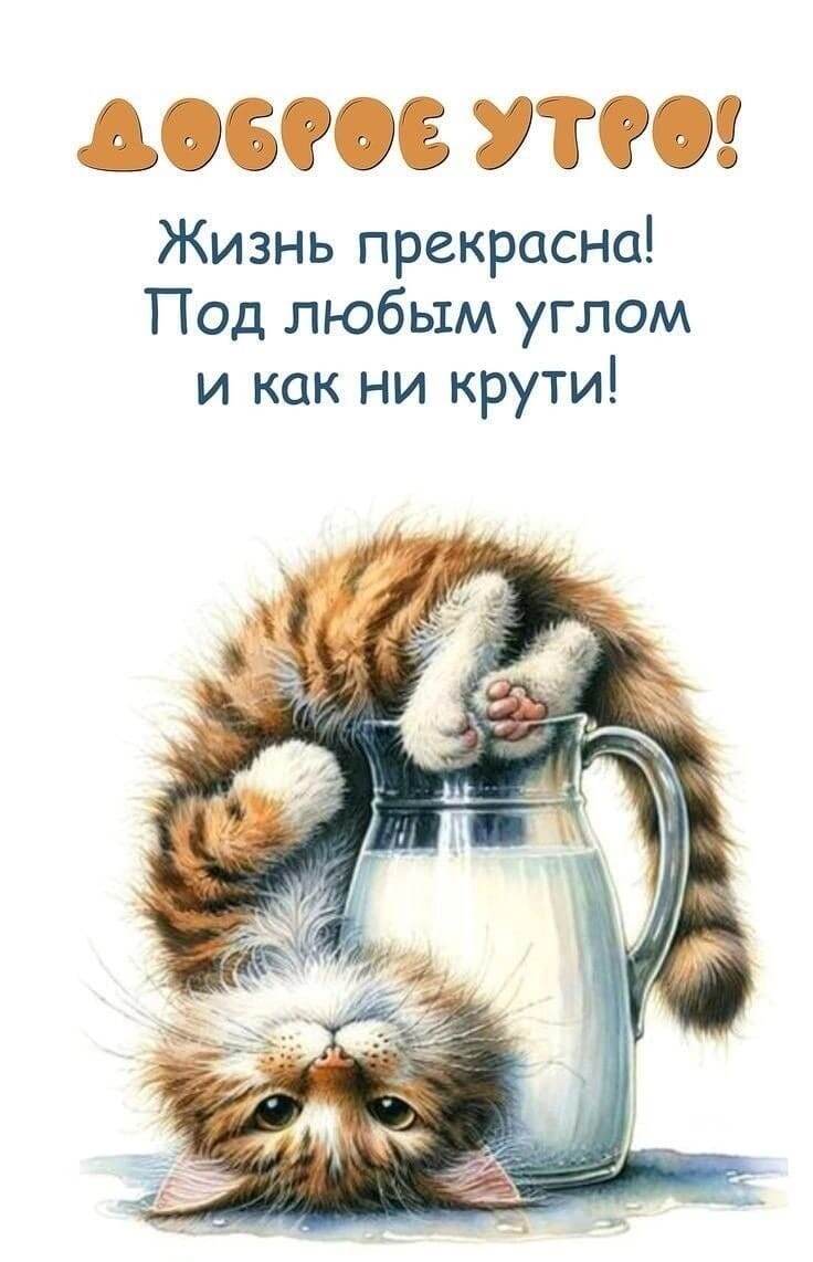 Доброе утро моя сладенькая девочка мем Доброе утро мои родные девушки вышивальницы и дорогие друзья вам всем хорошего д