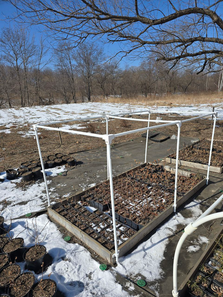 Первое фото от 22 февраля. Смонтировали только уголки и скобы для фиксации опор