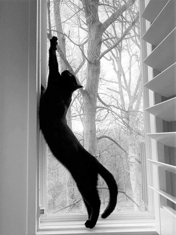 иллюстрация из яндекс картинки