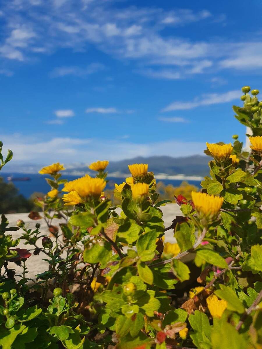 Фото автора канала 