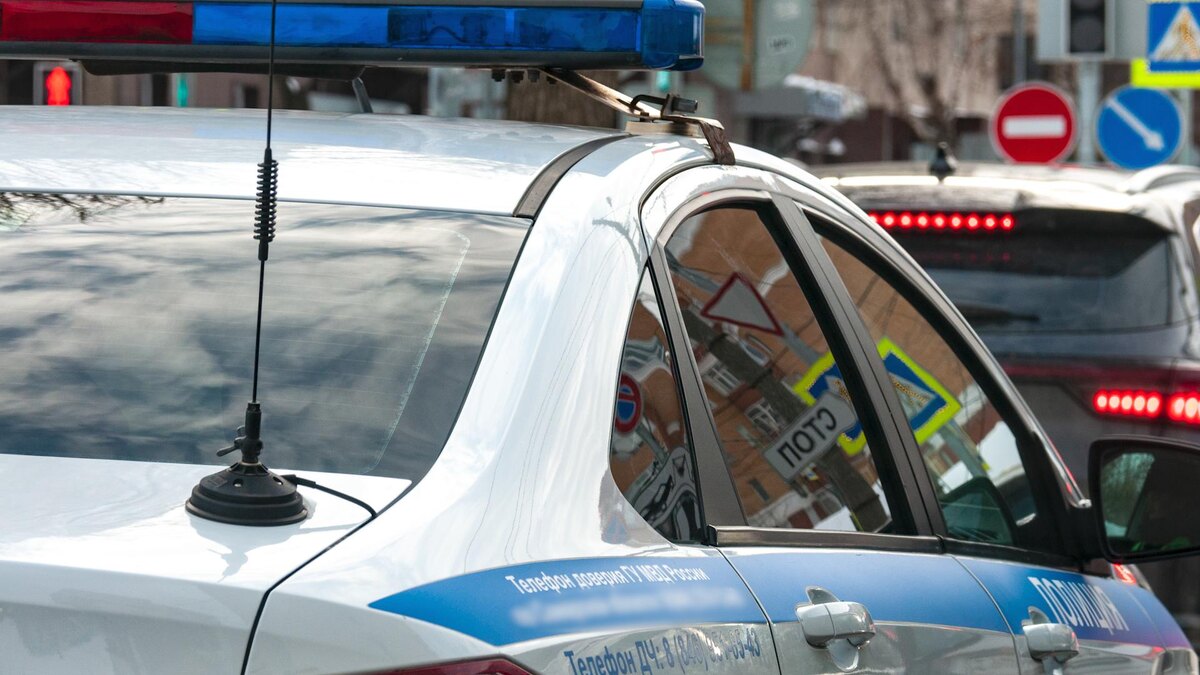    Фото: Svetlana Vozmilova/globallookpress.com