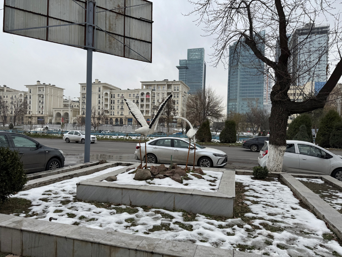 Аисты (пара номер 1)