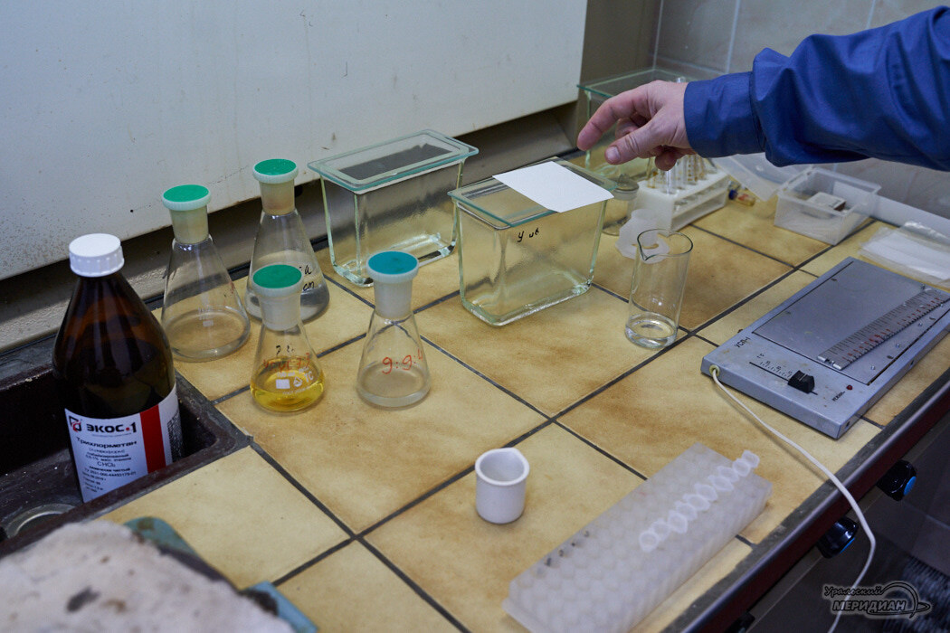    Фото: Лидия Аникина © ИА «Уральский меридиан»