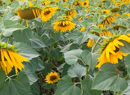 Фотография из личного архива автора