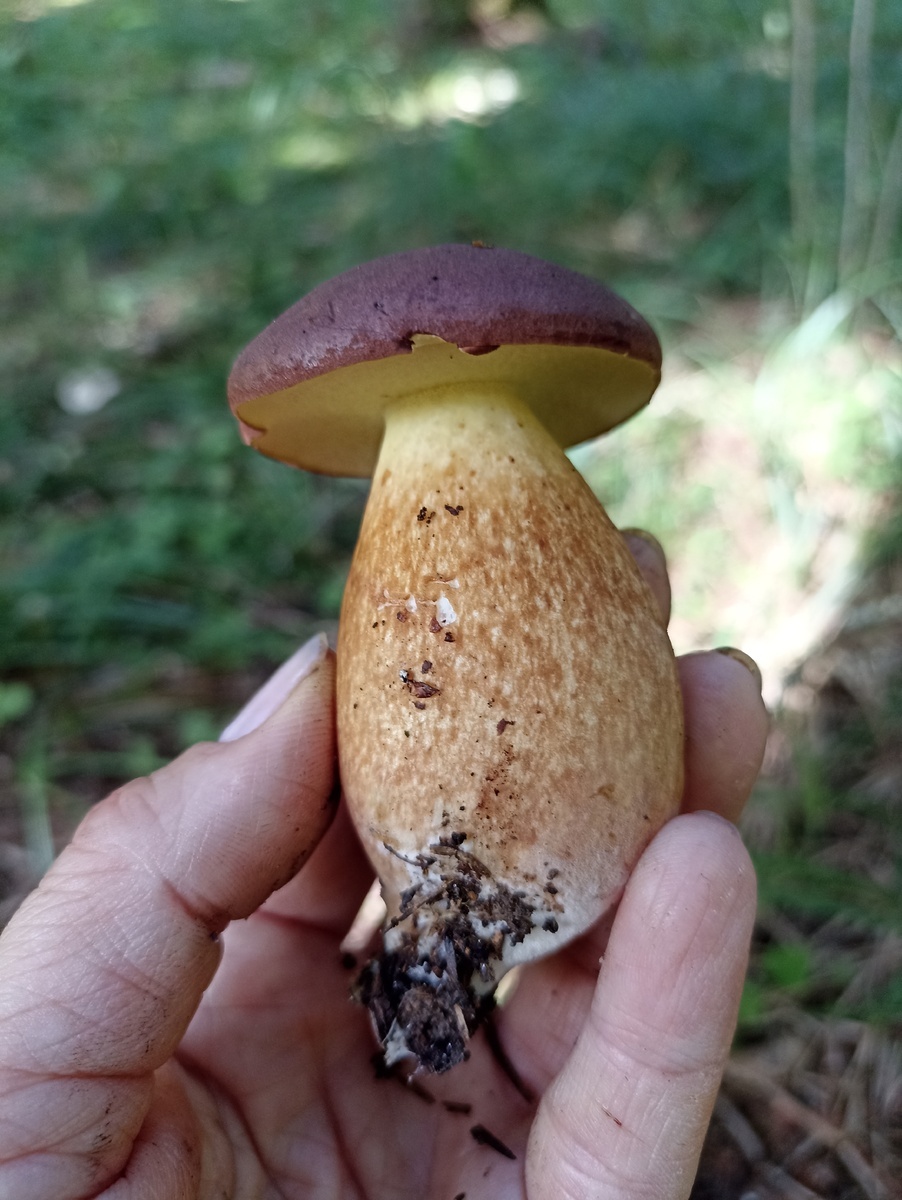 Автор фото ММ