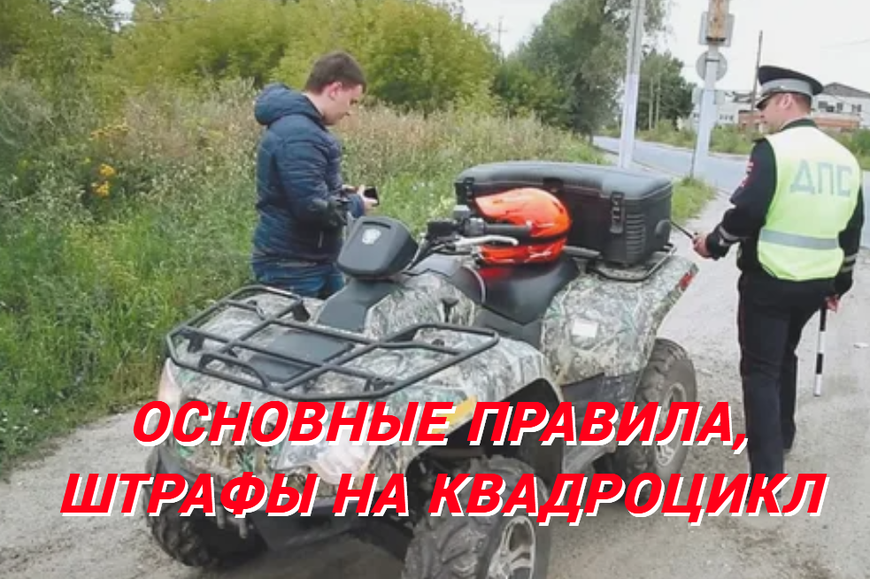 фото источник интернет