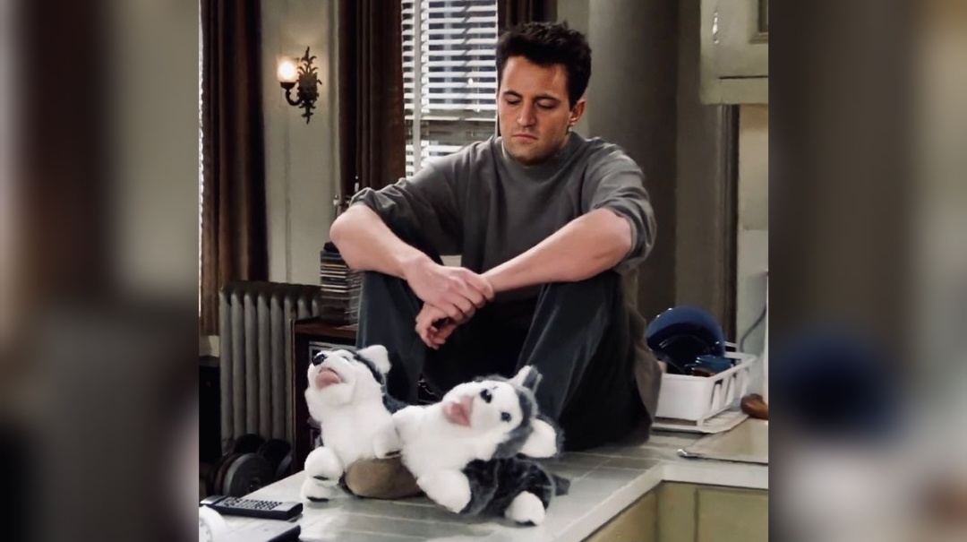 Мэттью Перри, сериал "Друзья"