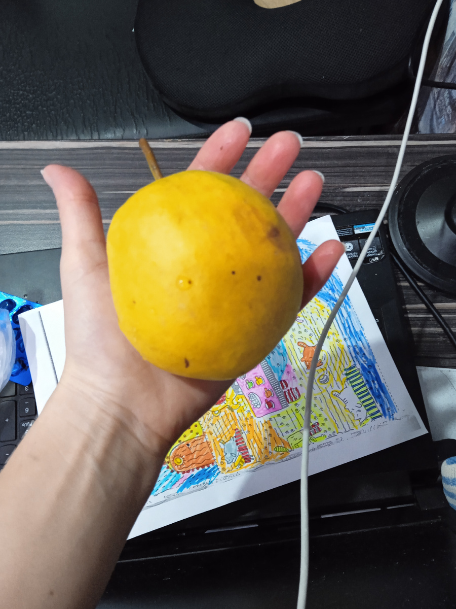 Груша из Белокурихи. Сушим на зиму.