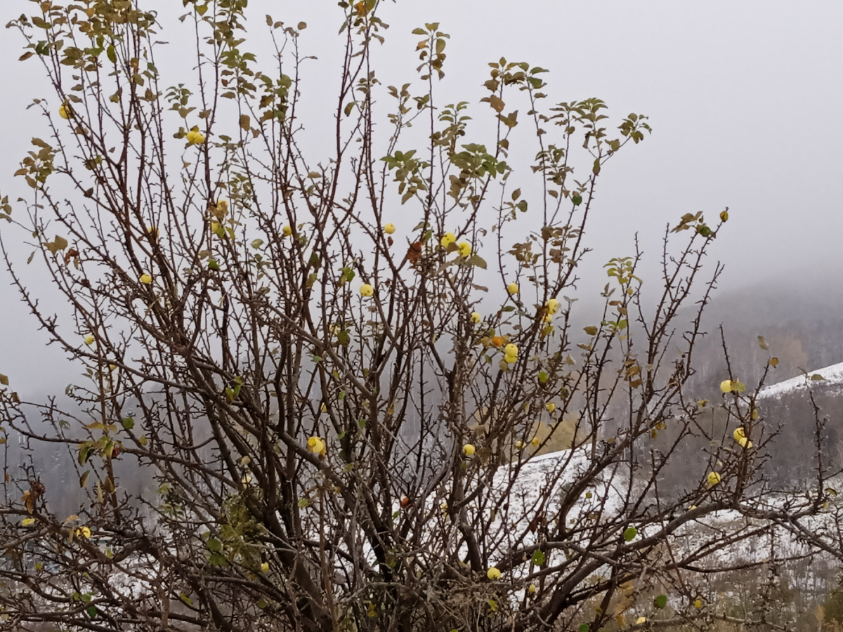 с. Даниловка