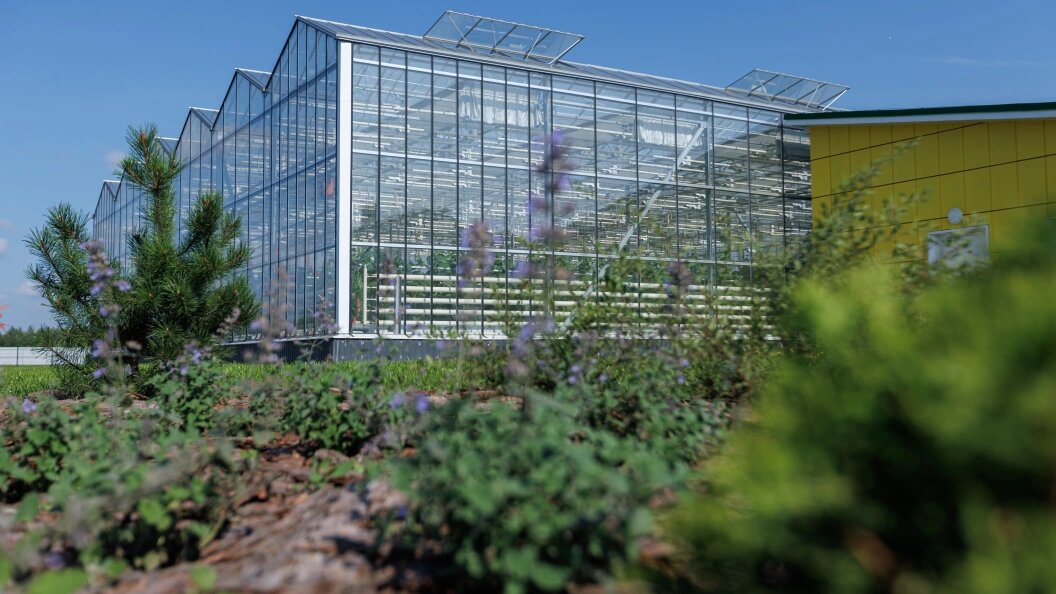    Фото: Sergey Elagin/Business Online/Globallookpress