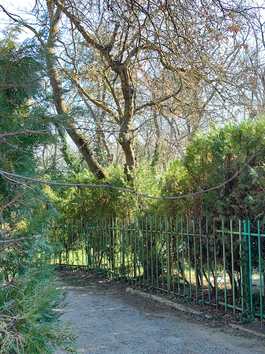 Сегодня. Фото автора канала