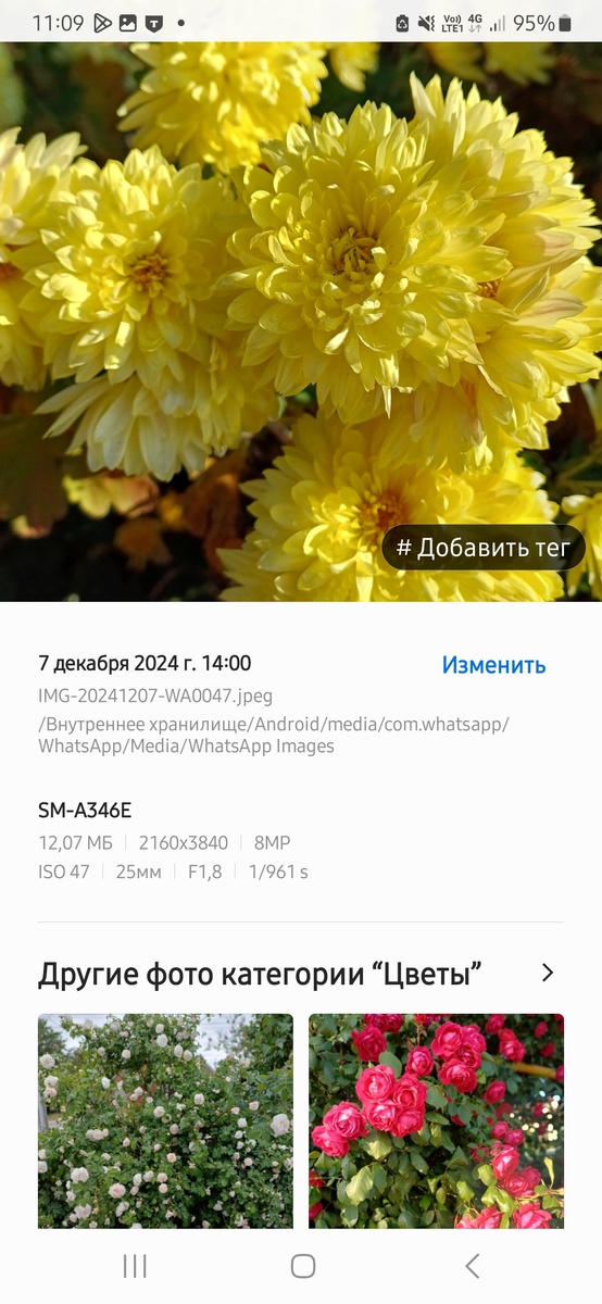 Специально сделала скриншот с экрана телефона, где видно что фотография сделана 7 декабря 2024 года.