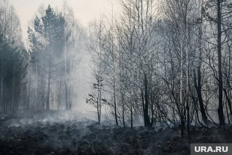 Вокруг сибирских топей в далеком Заболотье разгорается противостояние между местными депутатами и администрацией района
Фото: Владимир Жабриков © URA.RU