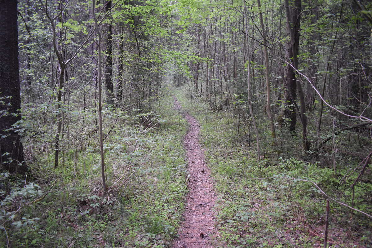 та самая тропка