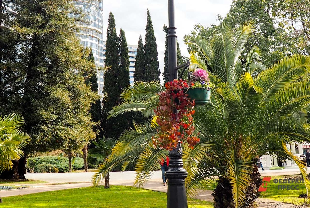 Аллея создана по инициативе городского совета.  Фото: Фото: ФедералПресс / Андрей Гусий