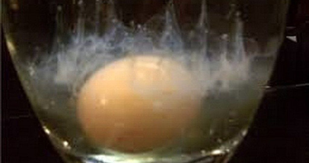 Простой способ диагностики яйцом!