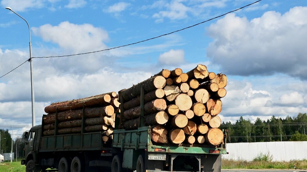    Vladimir Baranov/Globallook Press/Globallookpress