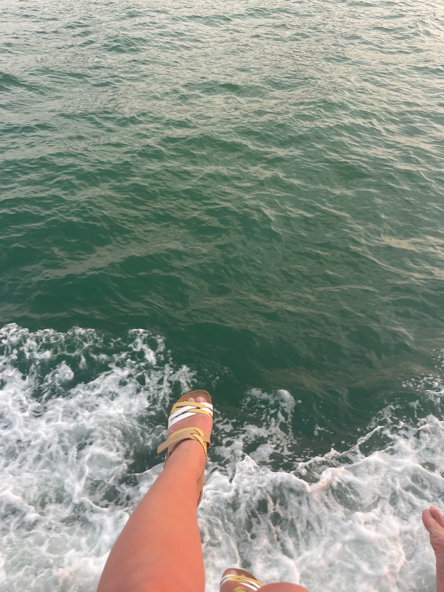 «Едут и смеются, пряники жуют»