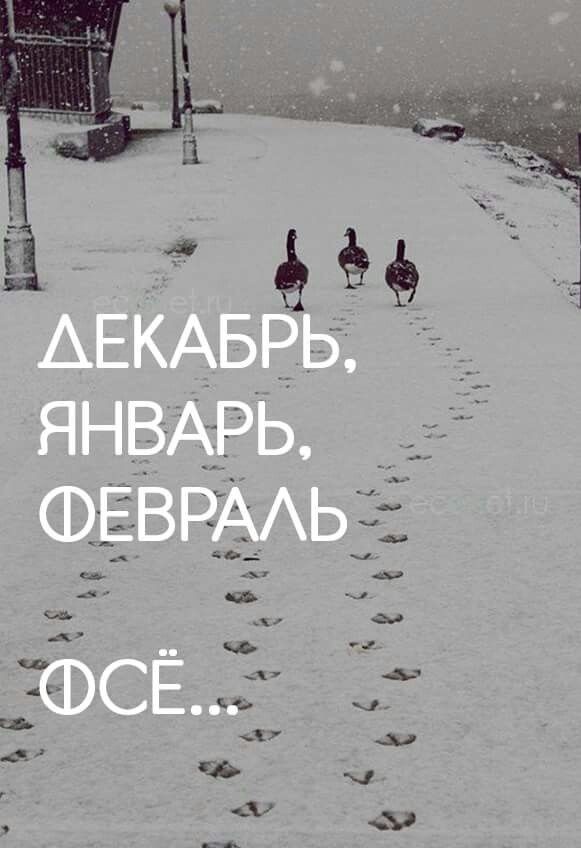 Картинка из свободного доступа 