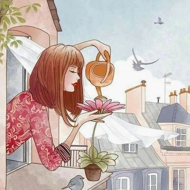 Яндекс картинки