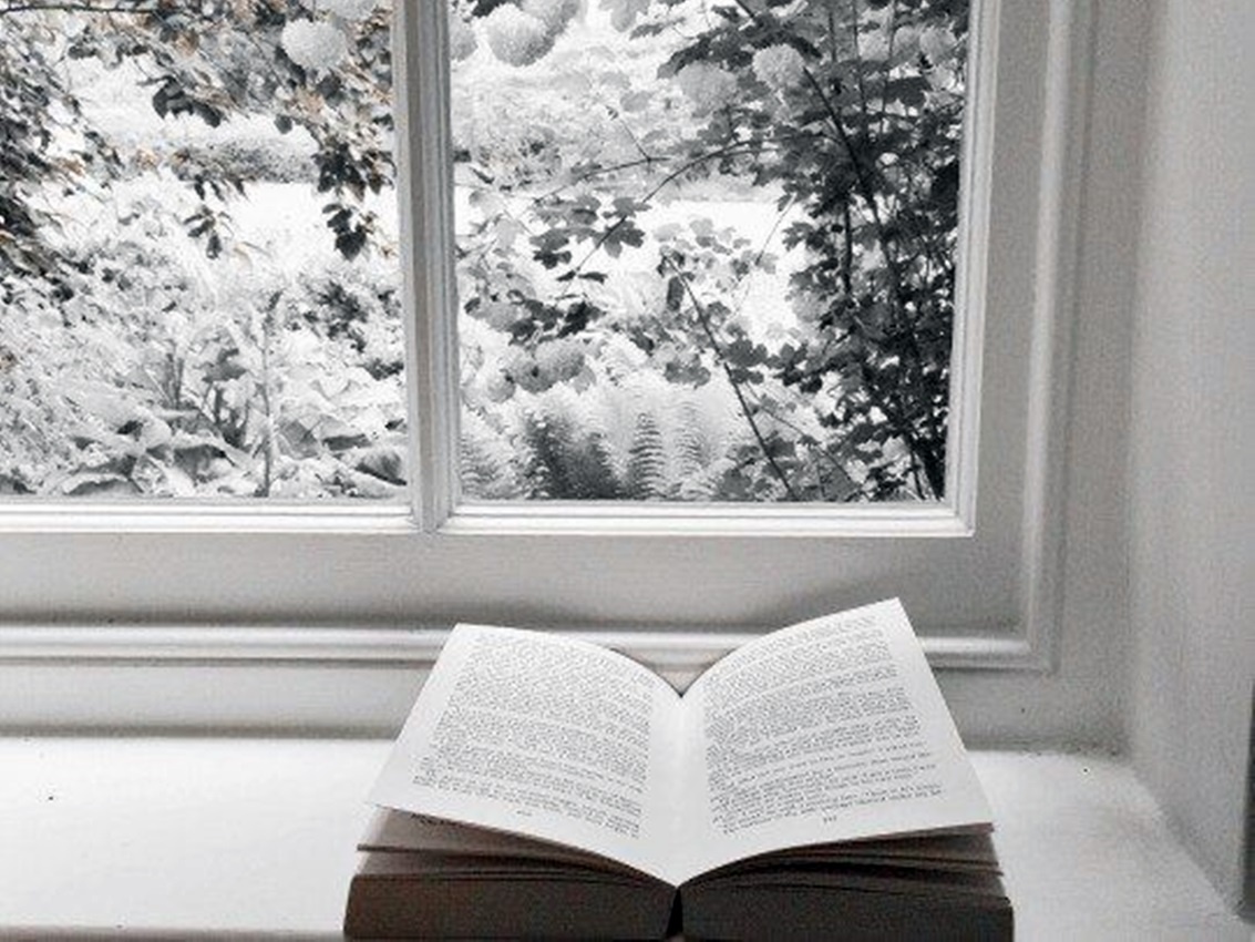 Яндекс. Картинки. 