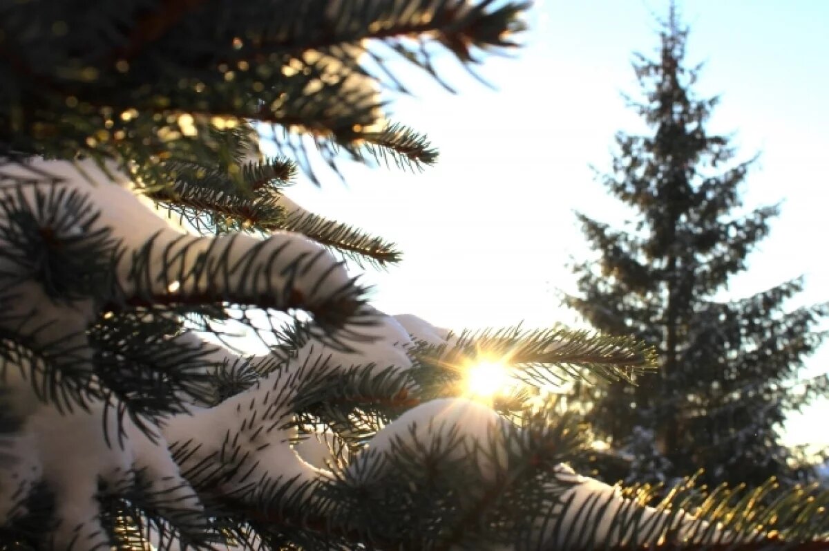    В Оренбуржье ожидается морозный март