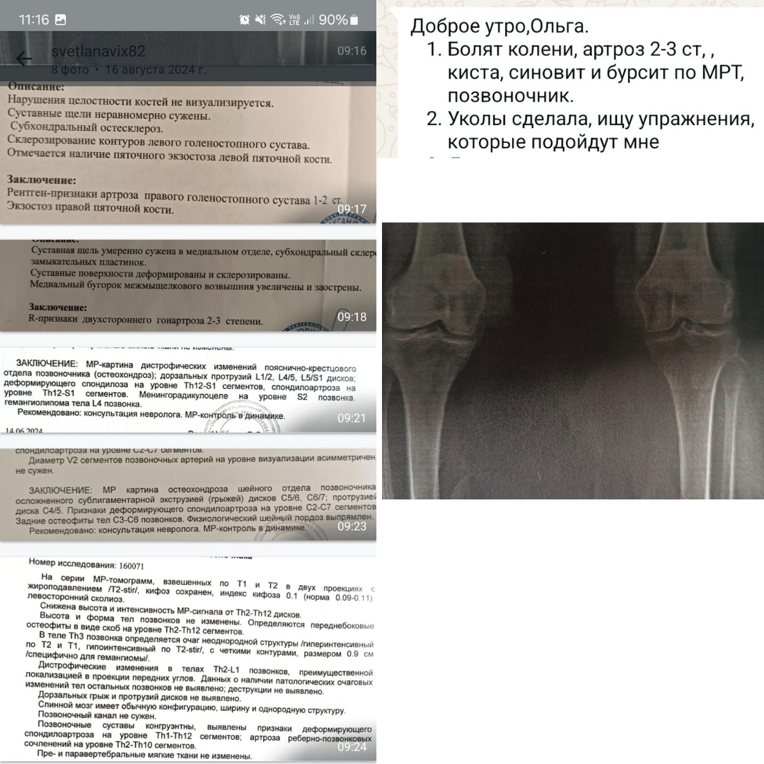 Это список всех заключений от Светланы