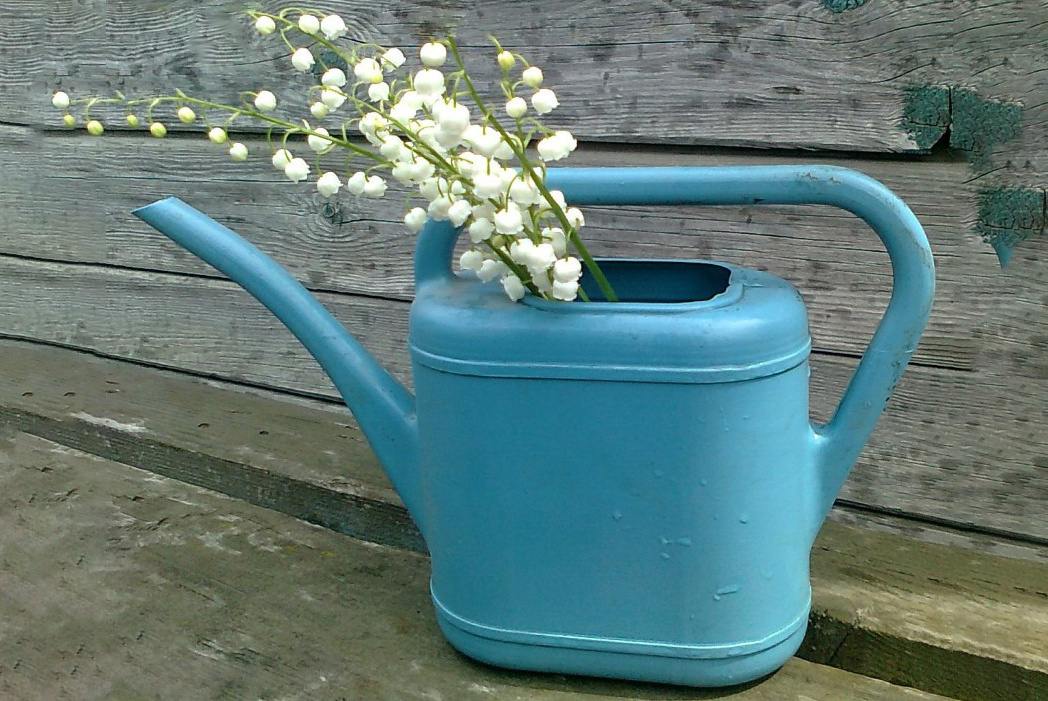 лейка - символ моего канала