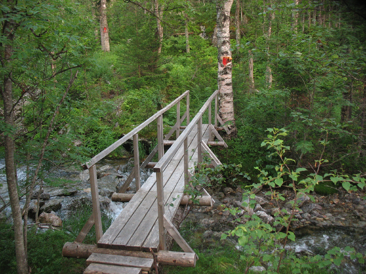 Мостки на тропе