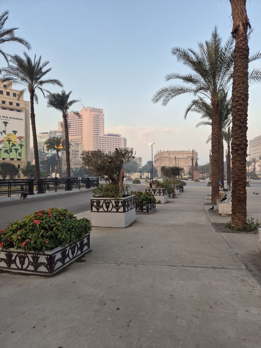 Раннее утро в Каире.
