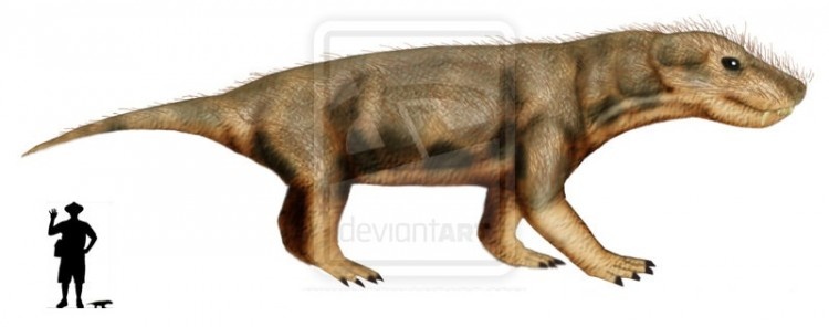 Прогалезавр, иллюстрация и сравнение размеров с человеком.