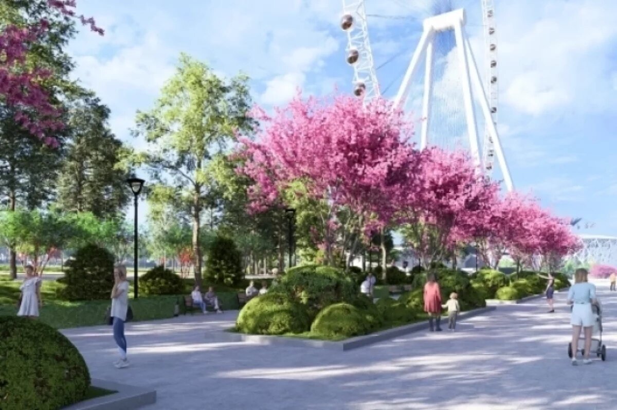    В центре Волгограда высадят аллею японской вишни