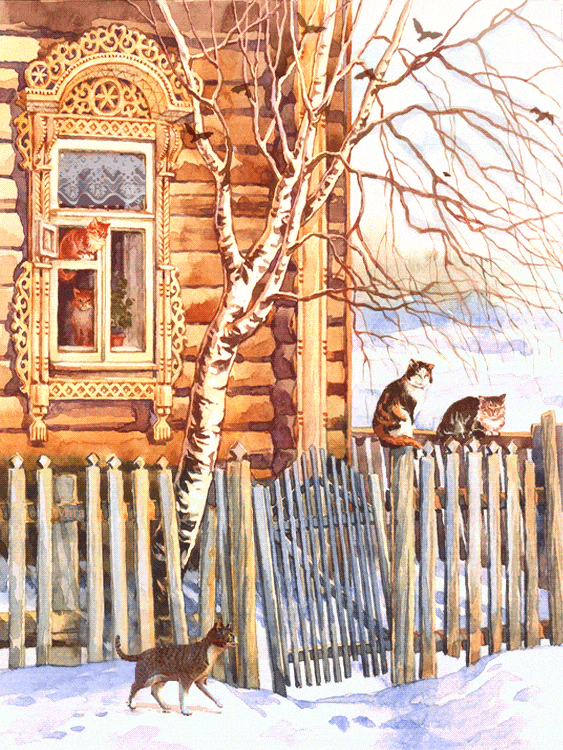 Яндекс картинки