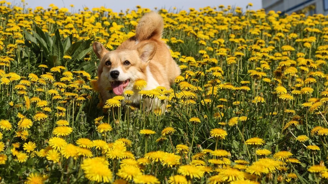    Bulkin Sergey/news.ru/Globallookpress