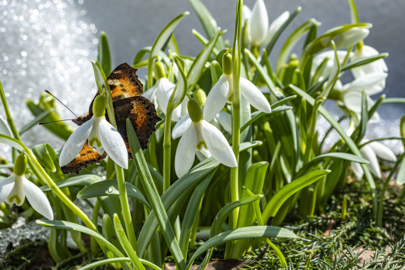    Фото: Konstantin Kokoshkin/Global Look Press