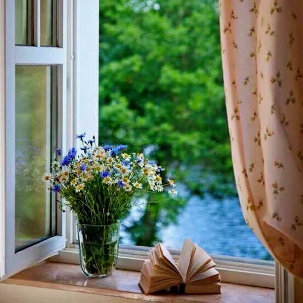 Из открытого доступа