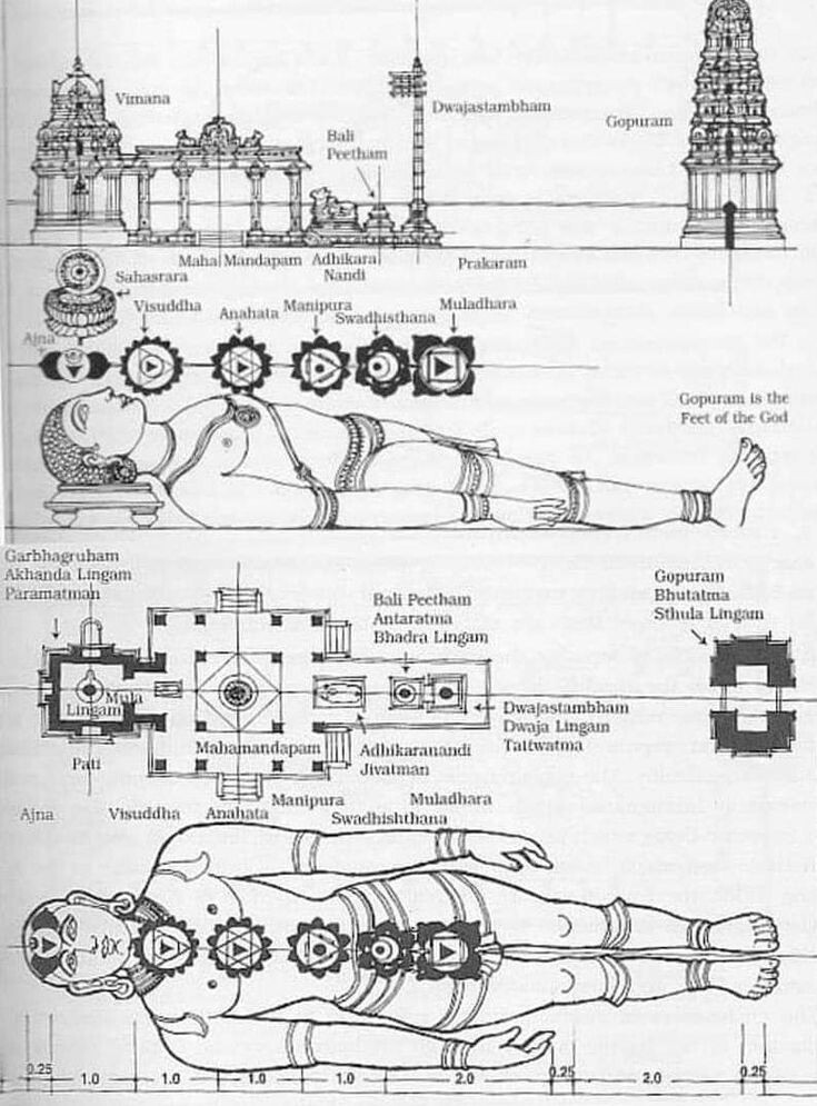Открытые источники. Рисунок из Васту-шастр. Соотношение пропорций в храмовом строительстве, с опорой на пропорции божества.