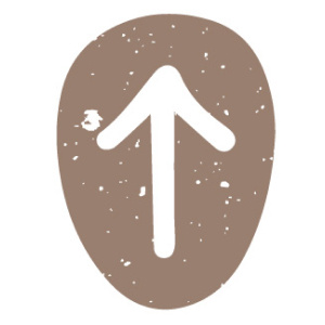 Руна Тейваз📷
