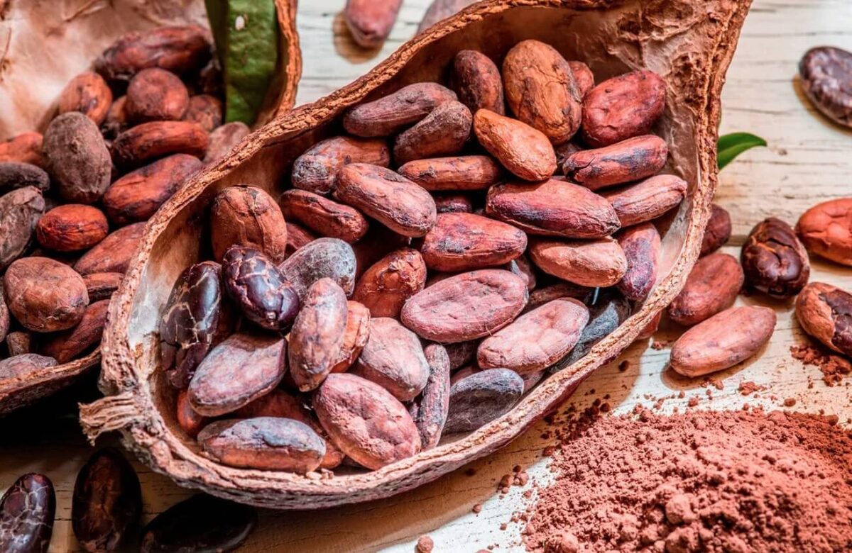    Бобы какао в необработанном виде. Источник изображения: dzen.ru
