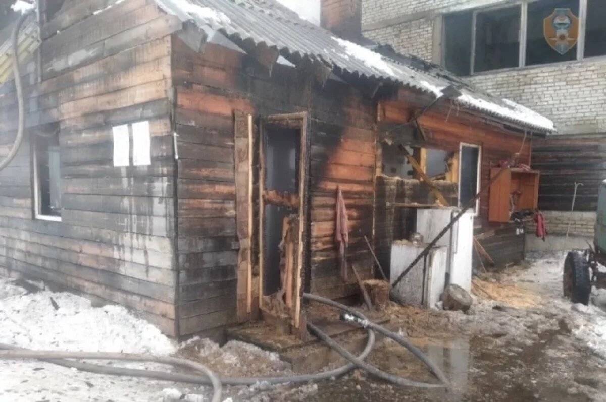    Женщина погибла на пожаре на заброшенной пилораме в Бурятии