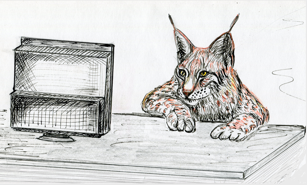 У телевизора