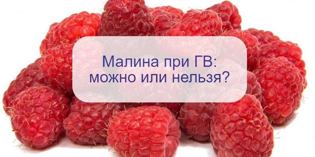 Сейчас в магазинах ягоды доступны круглогодично: можно ли кормящей маме есть малину?