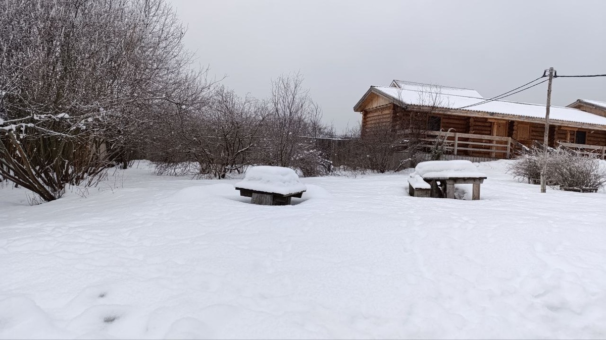 все спит зимой. А в таких четырехместных домиках комфортно и уютно. Тепло