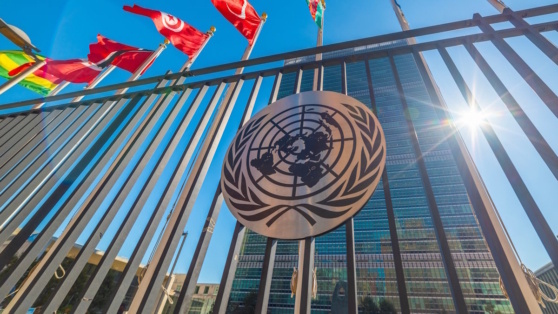    Песков заявил, что ООН сейчас нечем заменить Роман Захаров