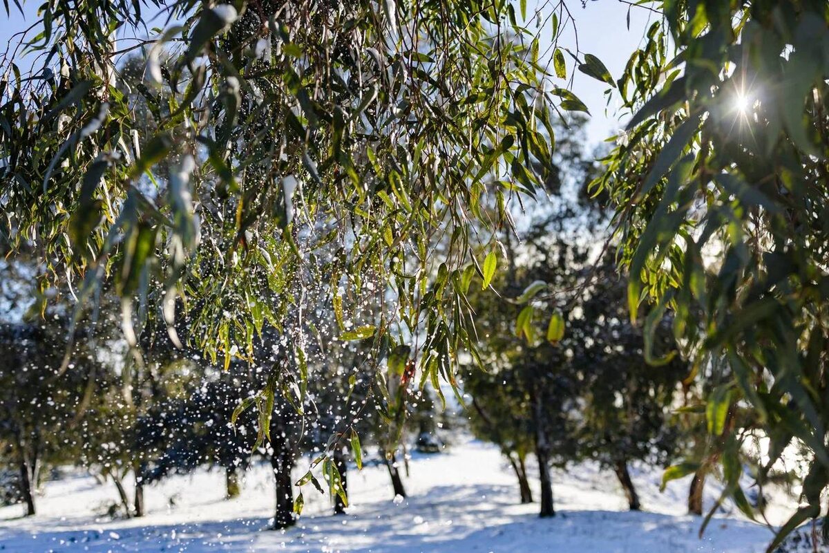    Фото: пресс-служба ФТ «Сириус»