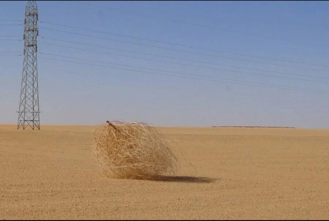 Типичная статистика статьи в новом канале